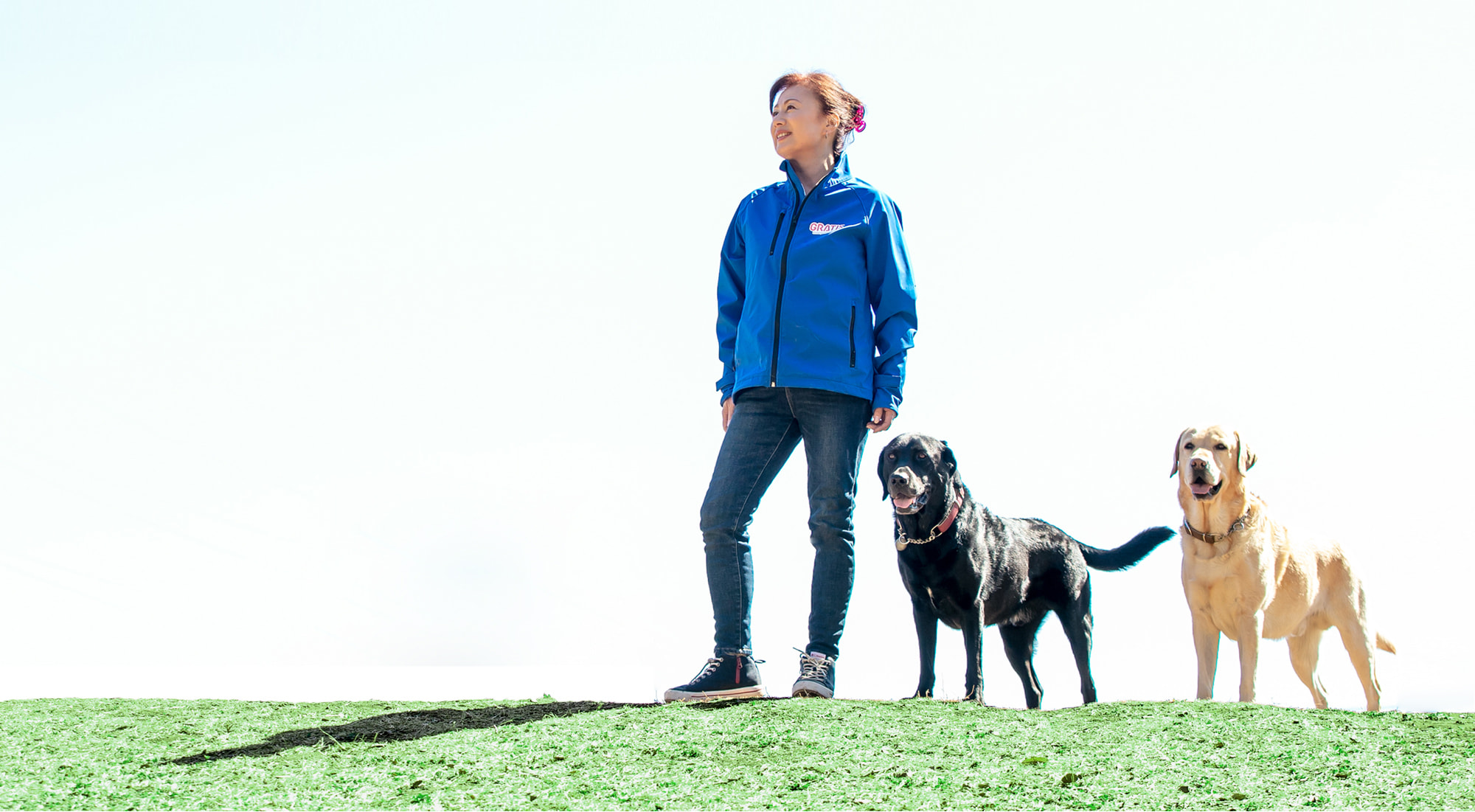 犬のイメージ画像