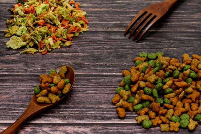 犬の腸内フローラを整える3つのケアをご紹介。