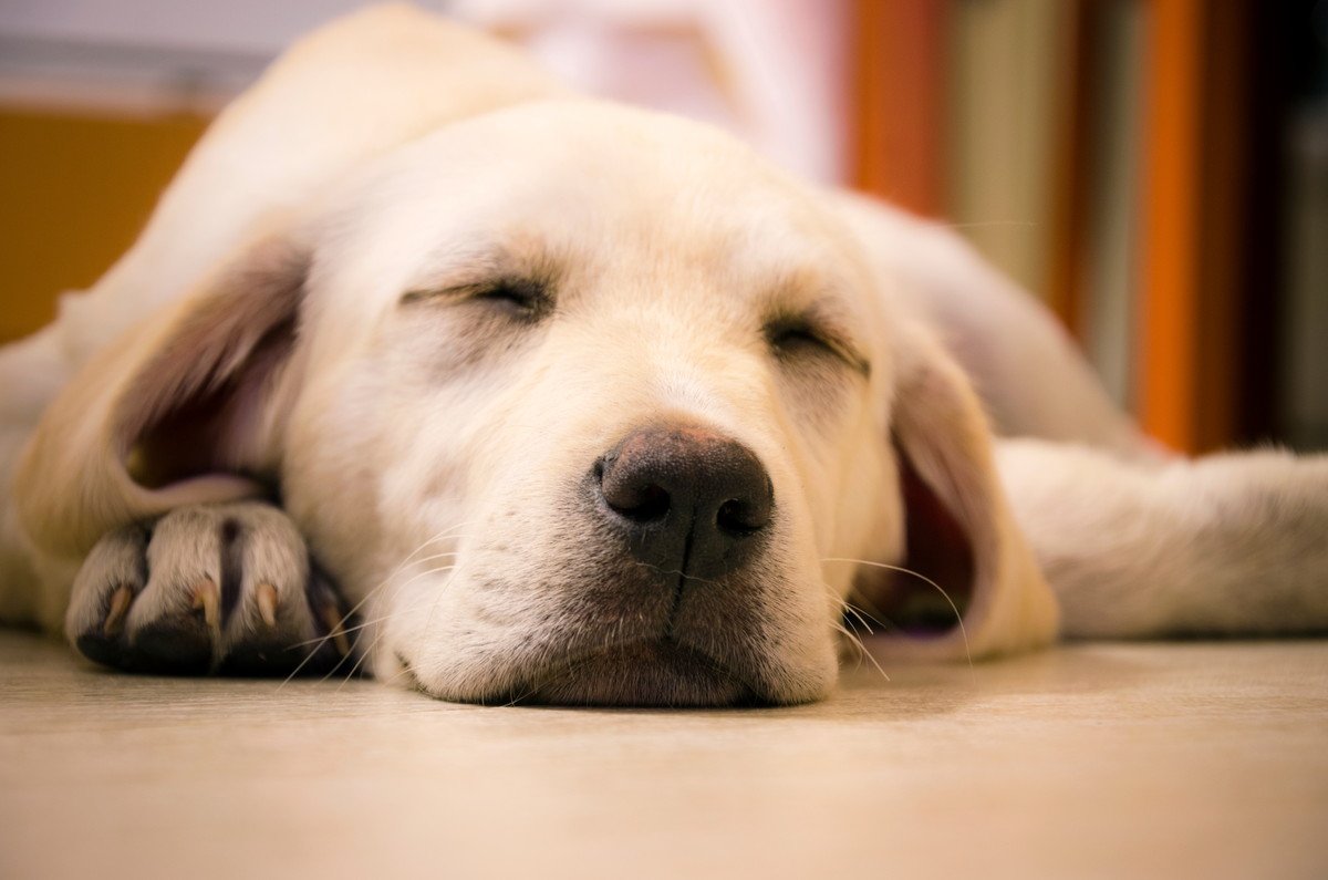 Beware of diarrhea and constipation