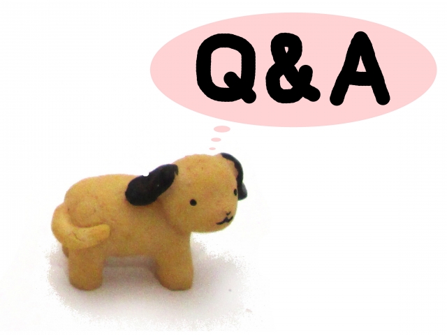 q & a