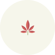 ローズオイルイメージ画像