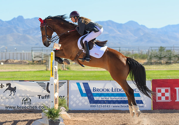 犬のイメージ画像