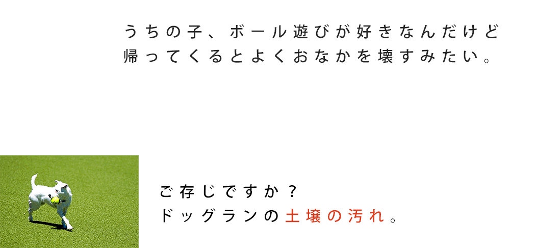 うちの子、ボール遊びが好きなんだけど帰ってくるとよくおなかを壊すみたい。